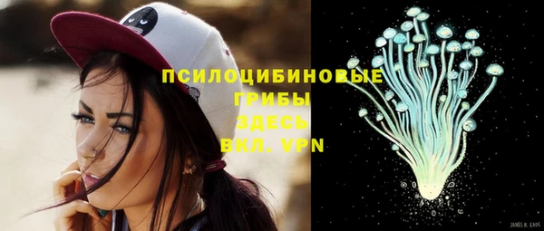 a pvp Новодвинск