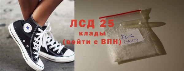 ПСИЛОЦИБИНОВЫЕ ГРИБЫ Алзамай