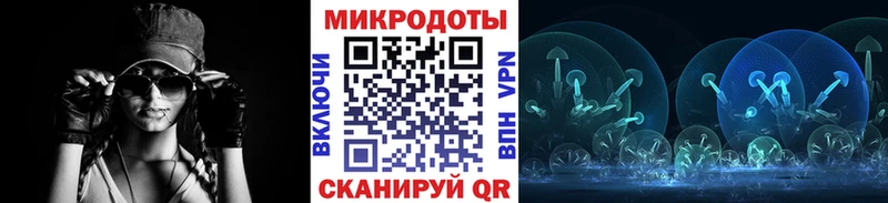 mega ONION  Калининск  Галлюциногенные грибы Psilocybine cubensis 